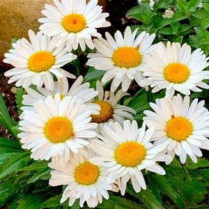 Everything in my closet must go.